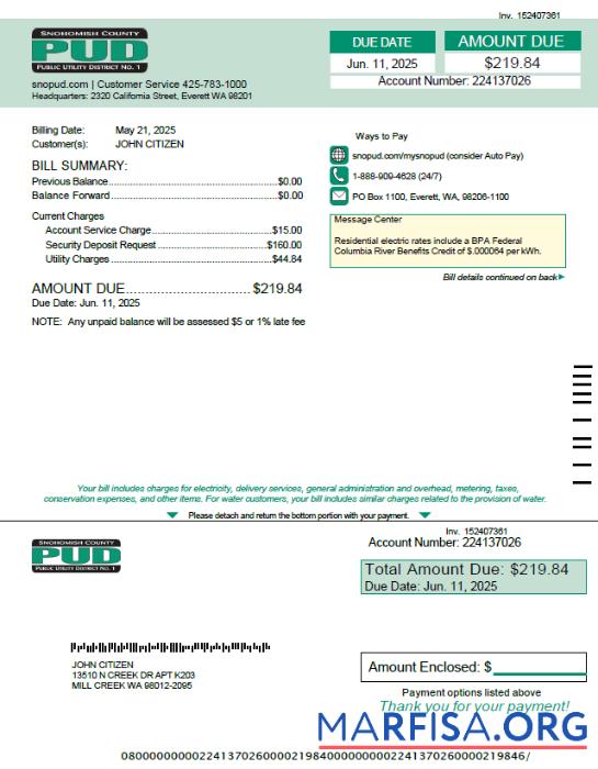 Printable USA Snohomish County PUD utility bill template in Word and PDF formats
